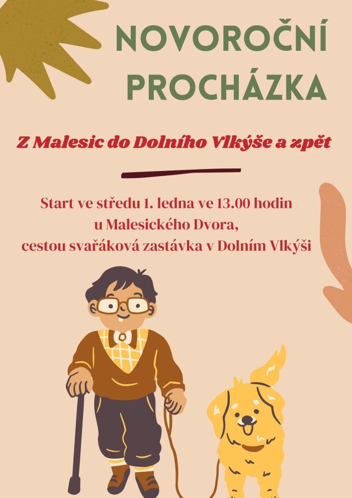 NovoroČNÍ PROChÁZKA